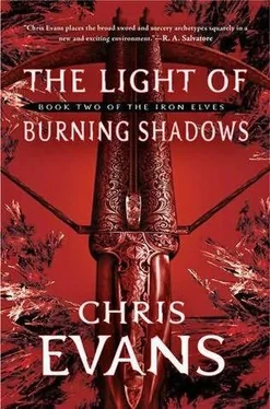 Chris Evans The Light of Burning Shadows обложка книги