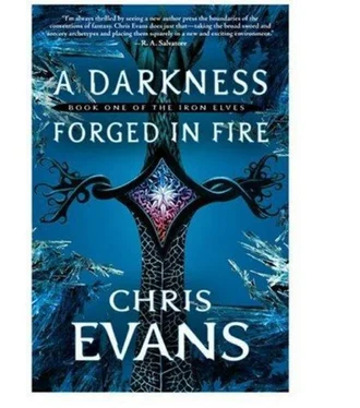 Chris Evans A Darkness Forged in Fire обложка книги