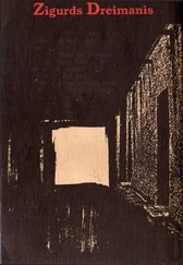 Zigurds Dreimanis - Es-no viņpasaules