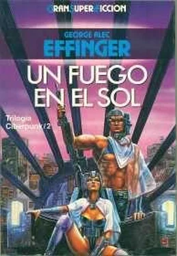 George Effinger Un fuego en el Sol обложка книги