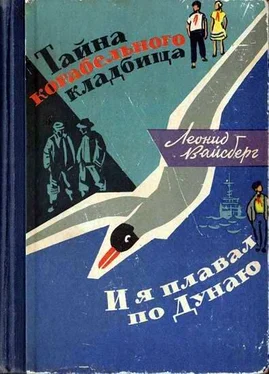 Леонид Вайсберг Тайна корабельного кладбища. И я плавал по Дунаю обложка книги