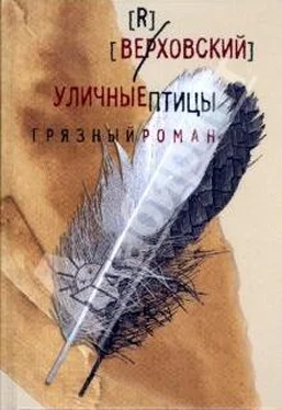 Верховский Уличные птицы (грязный роман) обложка книги