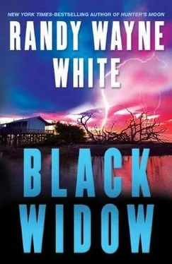 Randy White Black Widow обложка книги