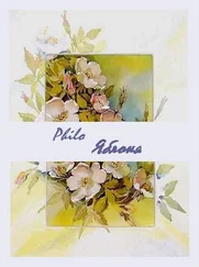 Philo - Яблоня