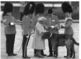The Queen Mother a diminutive figure beside the regimental mascot of the 1st - фото 11