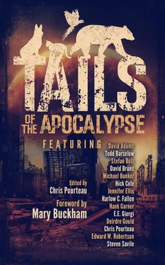 Chris Pourteau Tails of the Apocalypse обложка книги