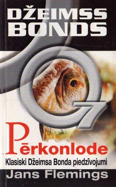 Jans Flemings PĒRKONLODE обложка книги