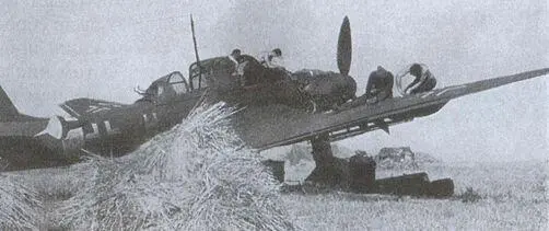 На аэродроме в России пикирующий бомбардировщик Ju87 Штука замаскирован - фото 46