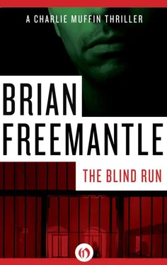 Brian Freemantle The Blind Run обложка книги