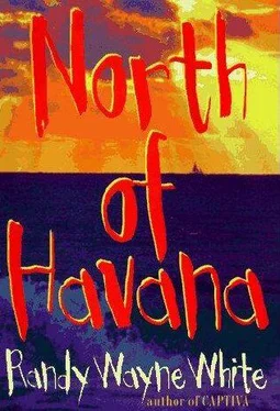 Randy White North of Havana обложка книги