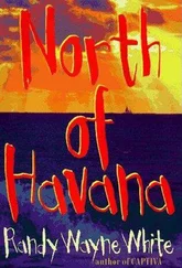 Randy White - North of Havana