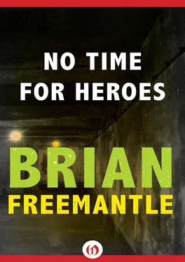 Brian Freemantle No Time for Heroes обложка книги
