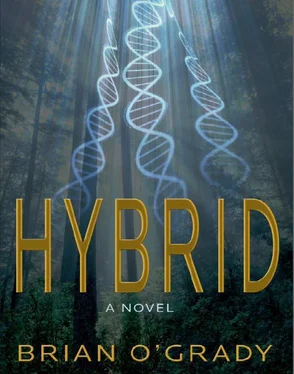 Brian O'Grady Hybrid обложка книги