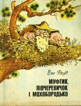 Ено Рауд Муфтик, Півчеревичок і Мохобородько. Книга друга обложка книги