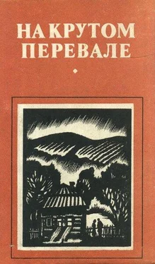 Марин Ионице На крутом перевале (сборник) обложка книги