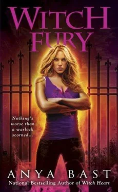 Anya Bast Witch Fury обложка книги