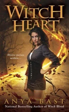 Anya Bast Witch Heart обложка книги