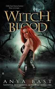 Anya Bast Witch Blood обложка книги