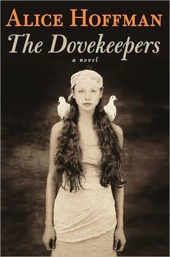 Alice Hoffman The Dovekeepers обложка книги