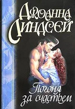 Джоанна Линдсей Погоня за счастьем обложка книги