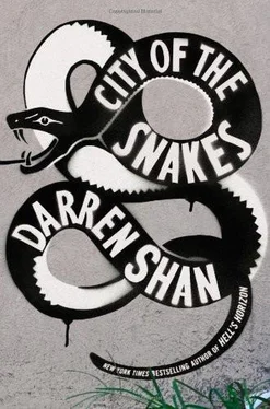 Darren Shan City of the Snakes обложка книги