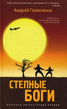 Андрей Геласимов Степные боги обложка книги