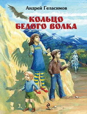 Андрей Геласимов Кольцо Белого Волка обложка книги