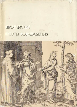 Коллектив авторов Европейские поэты Возрождения обложка книги