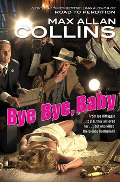 Max Collins Bye bye,baby обложка книги