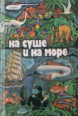 Вячеслав Пальман На суше и на море 1979 обложка книги