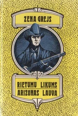 Zena Grejs Arizonas lauva обложка книги