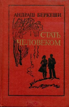 Андраш Беркеши Стать человеком обложка книги