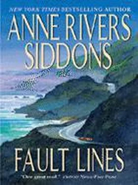 Anne Siddons Fault Lines обложка книги