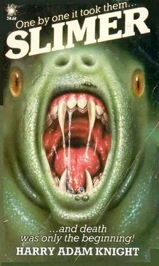 Harry Knight Slimer обложка книги