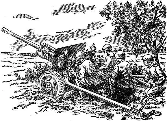 Рис 12 76мм пушка обр 1942 г При помощи этих пушек проделывают проходы в - фото 16