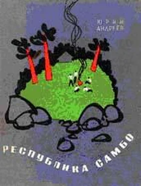 Юрий Андреев Республика самбо обложка книги