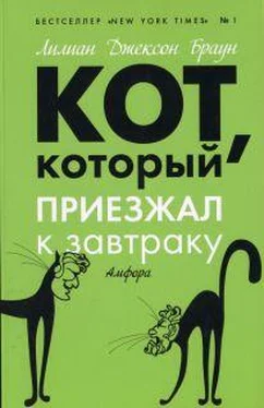 Лилиан Браун Кот, который приезжал к завтраку обложка книги