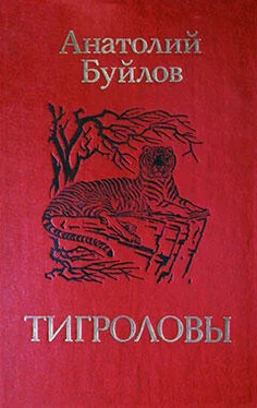 Анатолий Буйлов Тихий человек обложка книги