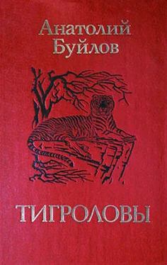 Анатолий Буйлов Тигроловы обложка книги