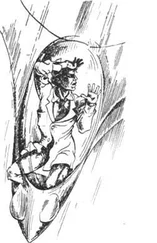 Viktors Zigunovs - Tpru, baktērija