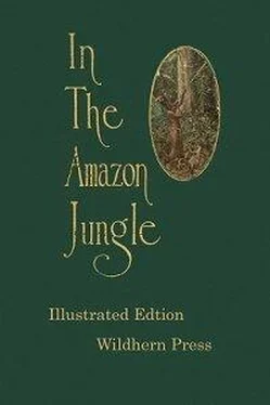 Algot Lange In the Amazon Jungle : Adventures in Remote Parts of the Upper Amazon River, Including a Sojourn Among Cannibal Indians обложка книги