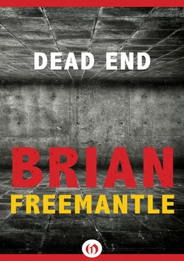 Brian Freemantle Dead End обложка книги