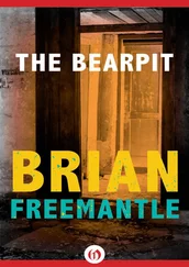 Brian Freemantle - The Bearpit