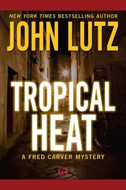 John Lutz Tropical Heat обложка книги