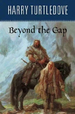 Harry Turtledove Beyong the Gap обложка книги