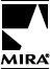 Chamberlain, Diane - The Shadow Wife