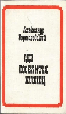 Александр Борщаговский Где поселится кузнец обложка книги