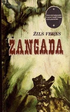 ŽILS VERNS ŽANGADA- ASTOŅSIMT JŪDŽU PA AMAZONI обложка книги