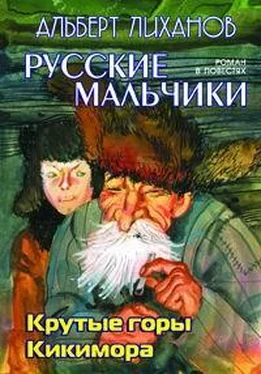 Альберт Лиханов Кикимора обложка книги