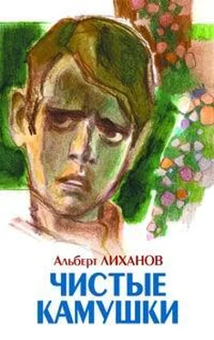 Альберт Лиханов Чистые камушки обложка книги